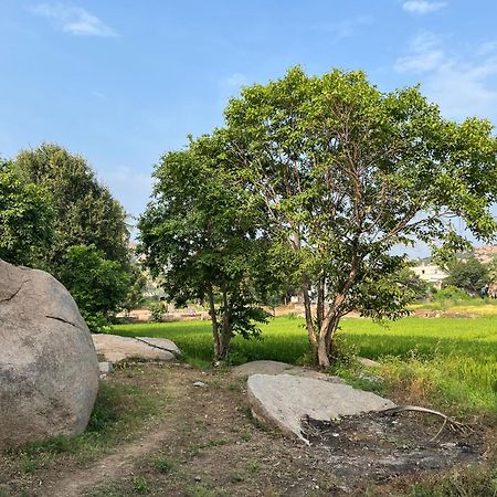 Sunrise Guest House & Restaurant Hampi Bagian luar foto