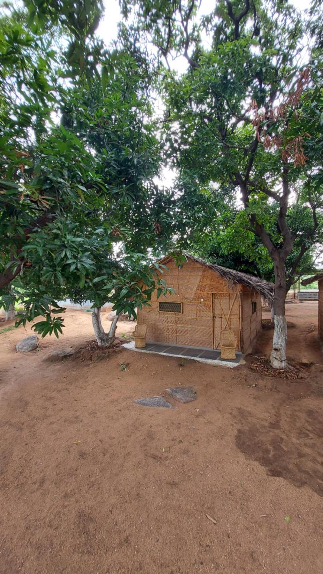 Sunrise Guest House & Restaurant Hampi Ruang foto
