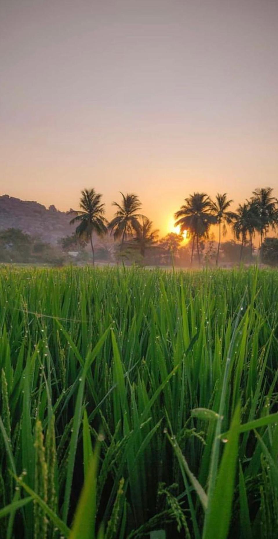 Sunrise Guest House & Restaurant Hampi Bagian luar foto